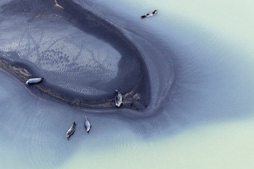 bobbycaputo:Abstract Iceland From Above By Zack Seckler