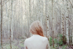 Pale like the birches by worteinbildern