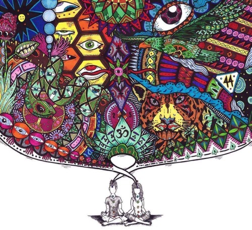 paratumascota - Mundo Holistico Animal
