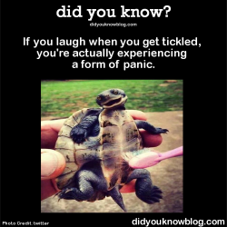 did-you-kno:  If you laugh when you get tickled,