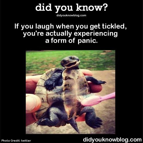 did-you-kno:  If you laugh when you get tickled, you’re actually experiencing a form of panic. Source