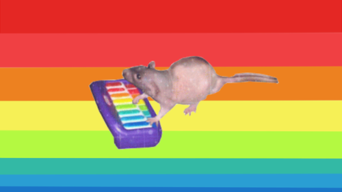 pronounced-sapphist:petey-piranha:neil banging out the tunes pride flag@pea-green
