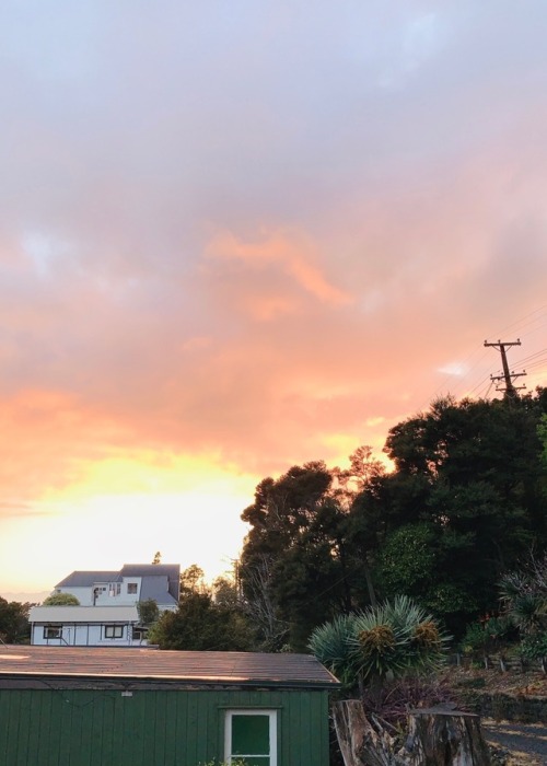 annibstudy: 11/100 days of productivityup with the sunrise! making a coffee then getting to work ear