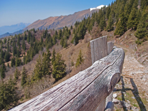 Fence
