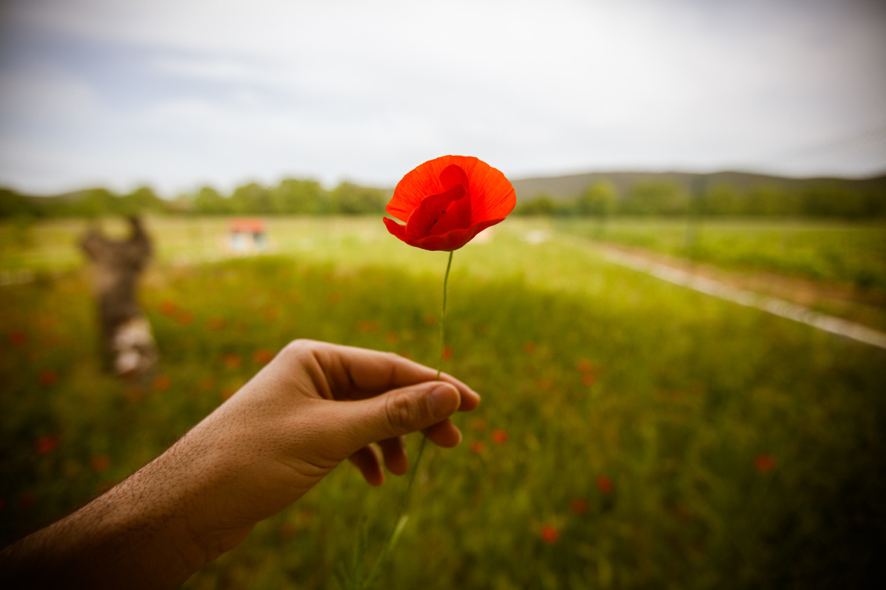 iloveyoutous:  Today’s Love : My country, La France