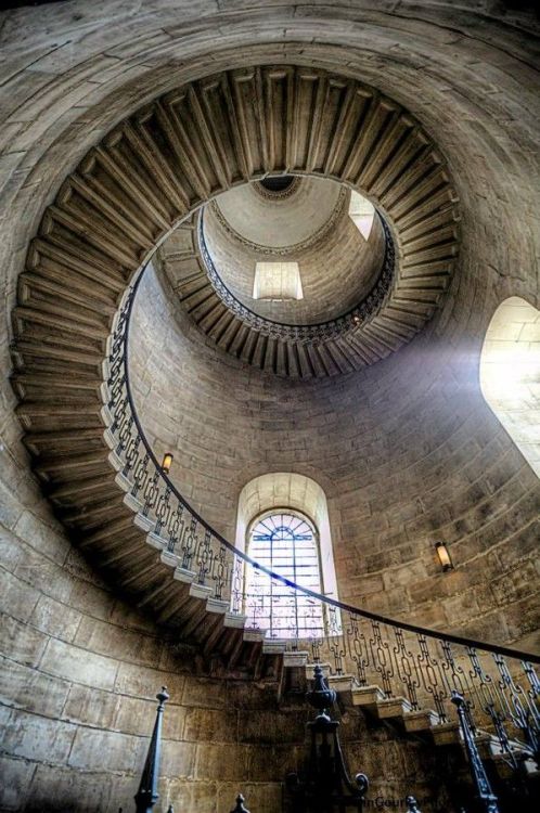colorel11: © Colin GourlaySt Paul-London