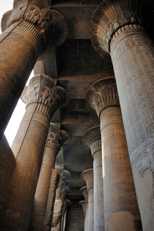 egypt-museum: Columns of the Temple of Esna Ornate columns within the Hypostyle Hall in the Temple o