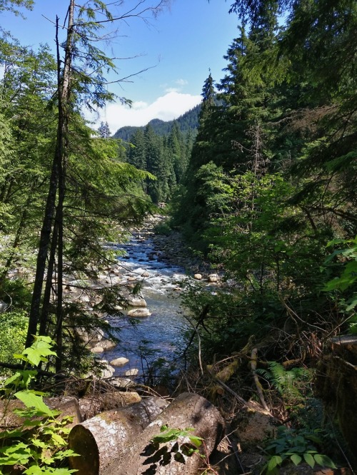 wanderlustingbibliophile:Lynn Valley, North Vancouver