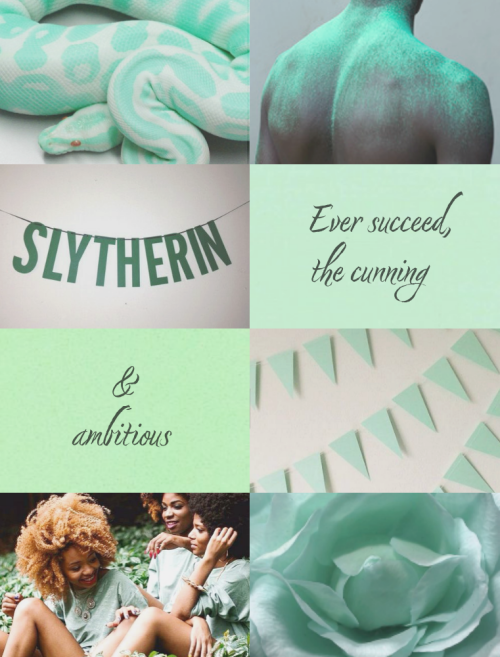 panesthetic:Hogwarts in Pastel; Slytherin             We see paths where others see dead-ends.Huffle