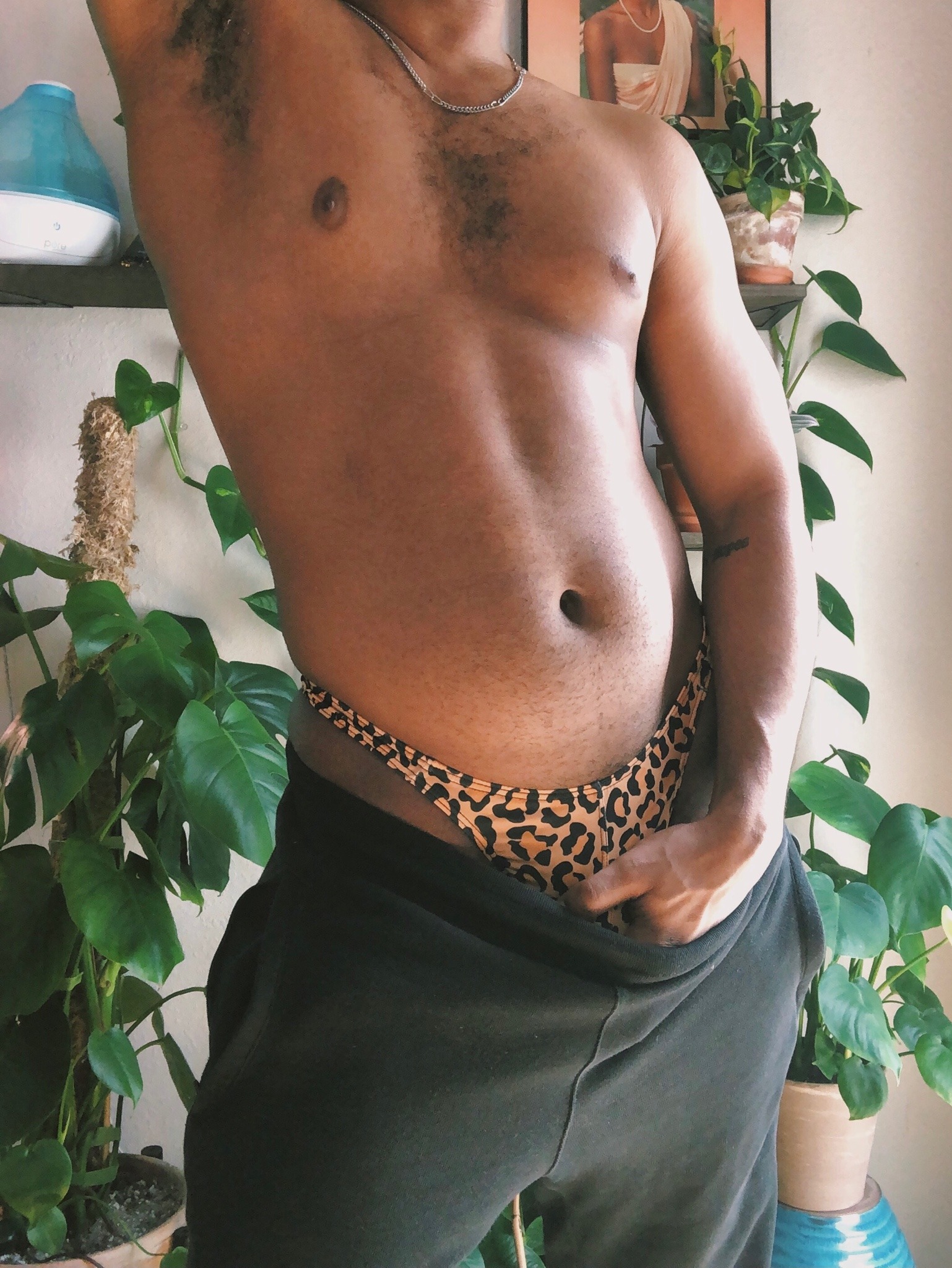 0ff-the-grid:🐆