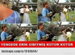 YENGEDE ERİK GİBİYMİŞ KÜTÜR KÜTÜR