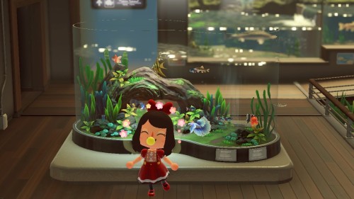 Evolution of one of the museum’s acquarium from the beginning of the game to today ^^First pho