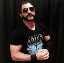 backbreakerz:Austin Aries