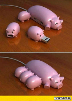 advice-animal:  Piggy USB Hubhttp://advice-animal.tumblr.com/