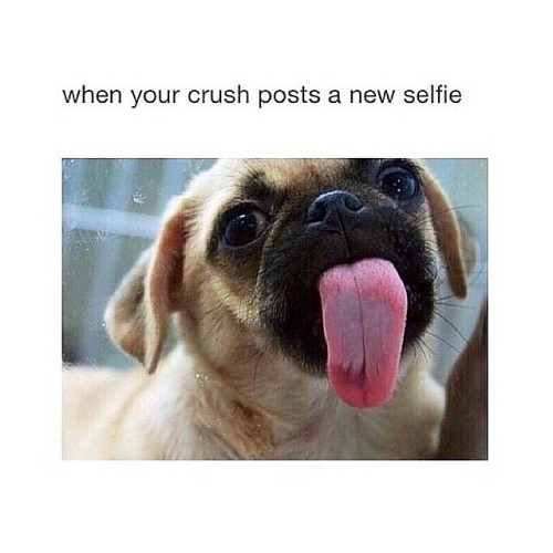 kushandwizdom:  More LOL meme’s here.. 
