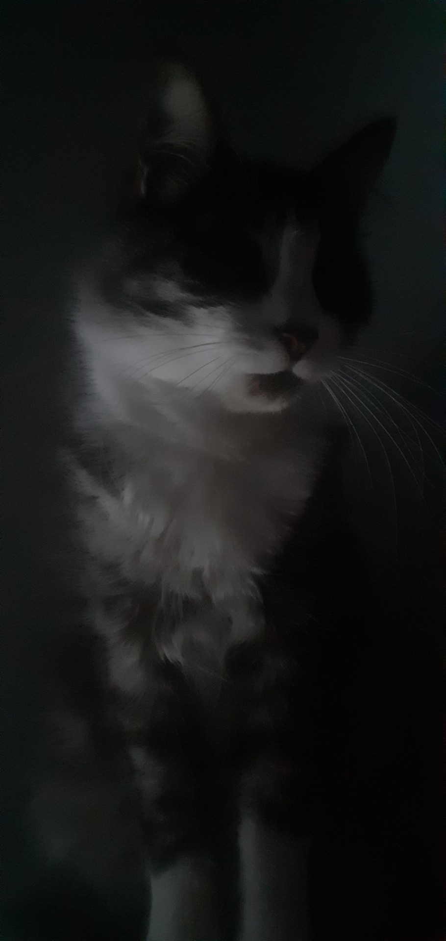 Someone I Know Told Me They Were Scared Of Him, Didn't See Why Until Now, The Photos Aren't Even Edited