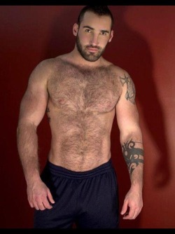 furrypty:  Indulge your senses with the beauty of male shapes!