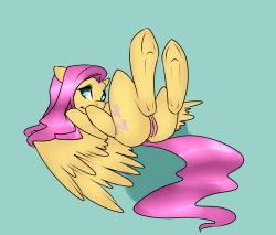 pmoddie:  Random Fluttershy .-.  Dat naughtyshy~