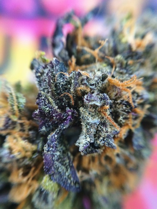 princessdabber:you should’ve seen my face when I opened the baggie and saw this 😈