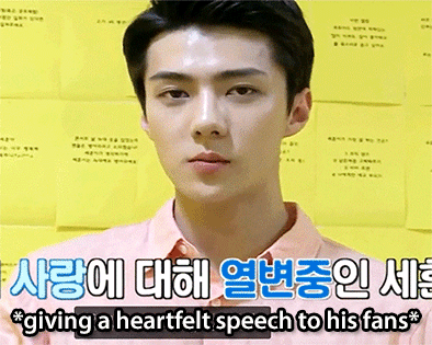 death-by-jongin:vivi is sassy af and loves to make his dad’s life a little harder