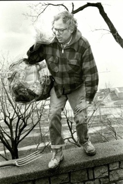 Burlington Mayor Bernie Sanders picks up trash on his own in a public park after being elected in 1981