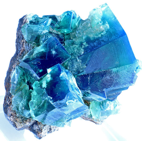 fuckyeahmineralogy:Fluorite under long wave UV; Rogerley Mine, Country Durham, United Kingdom