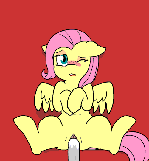 hasbro-official-clop-blog:  more gifs-Holliday porn pictures