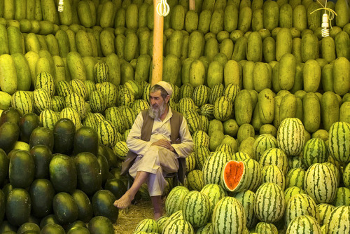 visitafghanistan:The Melon Seller Of Kabul.Kabul, AfghanistanTaken on May 19, 2008