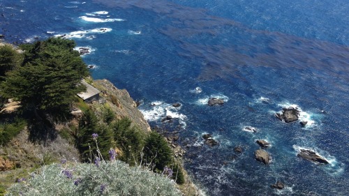 Rode the Pacific Highway from Ventura up to San Fran after staying the night with my best bud&rs