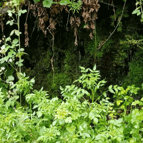 heym00nbaby:Images from my recent hiking adventure.-