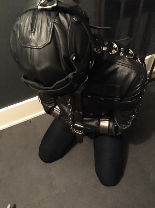 seabondagesadist:  I just love a gimp gagged, porn pictures