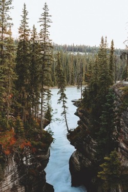 alecsgrg:Lean away | ( by Charlotte ) 