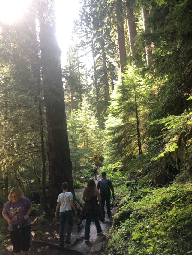 Finally got back out to Sol Duc falls, been talking about it anytime I see it pop