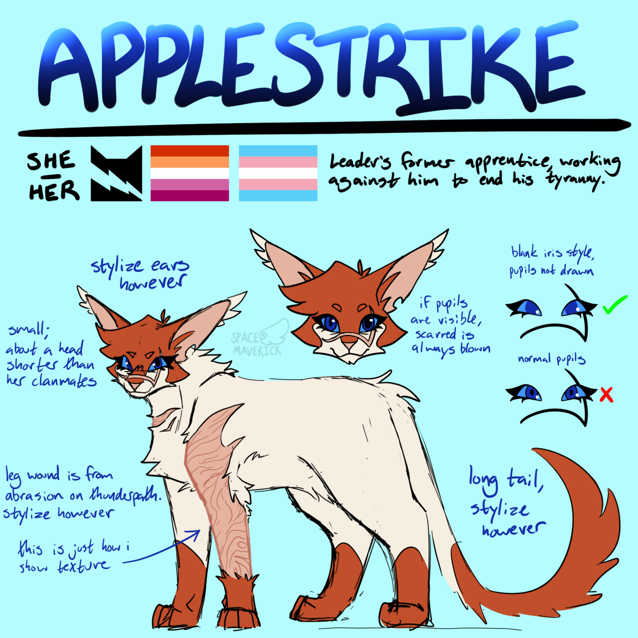 a reference sheet for an original warrior cats character named applestrike. she's a a cream cat with blue eyes and a long tail and ears. she has orange covering the lower half of her legs, tail, and the top half of her face and ears. there's a scar going across her muzzle and over her left eye, whose pupil is blown, a slash across her throat, and a large area of scarring covering most of her left leg. the top of the sheet has written information, including her name colored in a blue and black gradient, the pronouns she/her, the thunderclan symbol, the lesbian and trans flags, and text reading "Leader's former apprentice, working against him to end his tyranny." her main reference drawing is posed facing left with her head turned towards the viewer, smiling. there's a second drawing above it of her face seen from the front. there are notes written all over the sheet including details about her body size, instructions on how to draw her eyes, and designated areas that can be stylized.