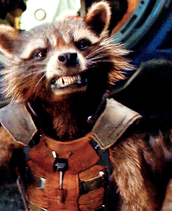 tomshardy: rocket being 1000% done with everything