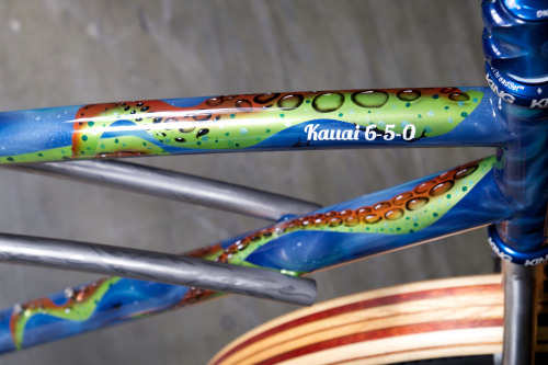 kinkicycle:  _DSF6117 by Gates Carbon Drive