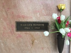 ourmarilynmonroe:  Decided to pop by and say hello to Marilyn again today.