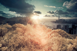 travelingcolors:Infrared Hong Kong | China