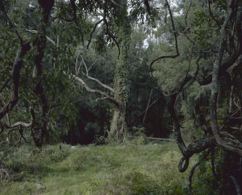 darkface: Araluen river bed (by Wouter Van de Voorde)