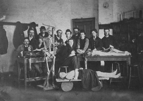 Students with three cadavers, late 19th century or early 20th century