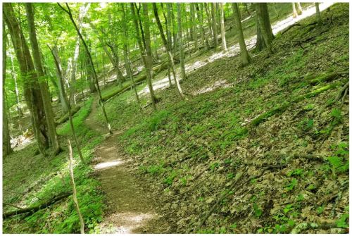 Appalachian Trail, Virginia