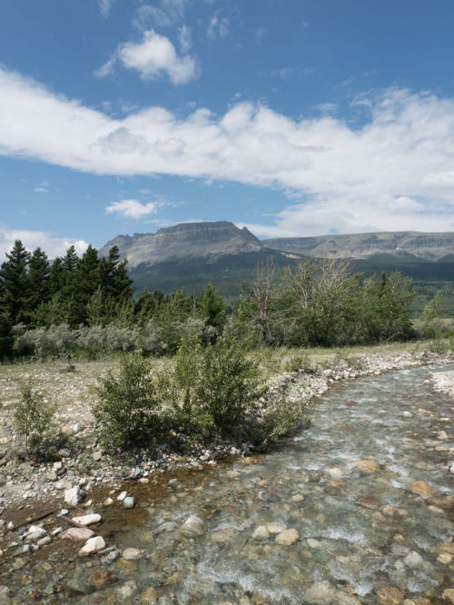 travelswithripley:Montana: Clear water and mountains near Saint MaryWe’ve been to 49 U.S. states so 