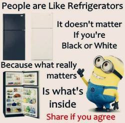 Minions-Against-Sjws:  I Cant Believe Minions Are Sjws Everything Ive Believed In