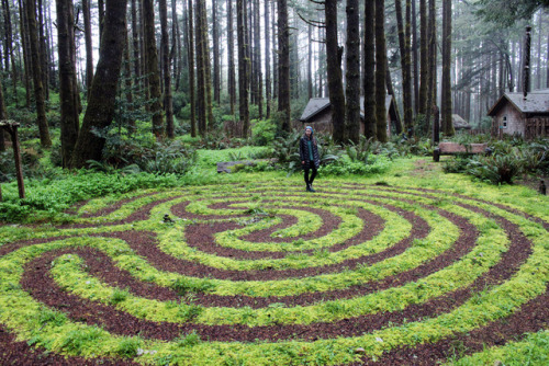 bright-witch:  🌿I had to walk the fairy’s labyrinth!🌿 🌿 Print Shop 🌿 🌿 50% of print shop proceeds will be donated to a charity of your choice: The Cat Adoption Team, Snow Leopard Trust, or The Nature Conservancy. 🌿 
