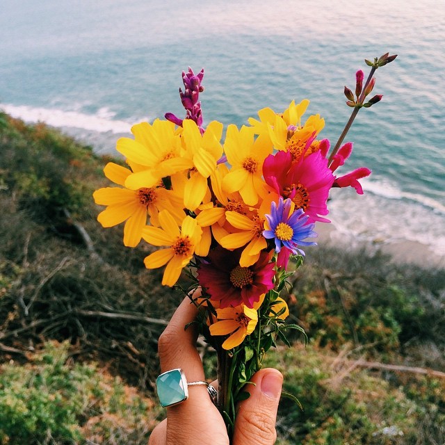 zen-light:❁all good things are wild and free❁