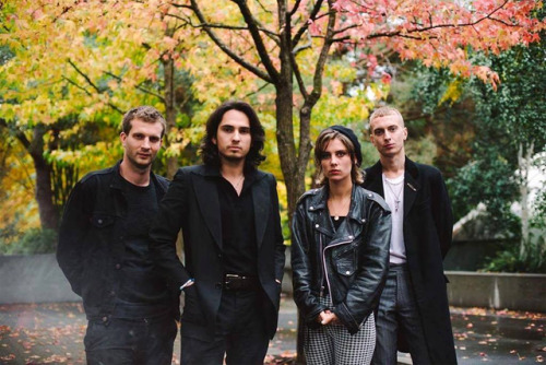 Wolf Alice by Amber Zbitnoff