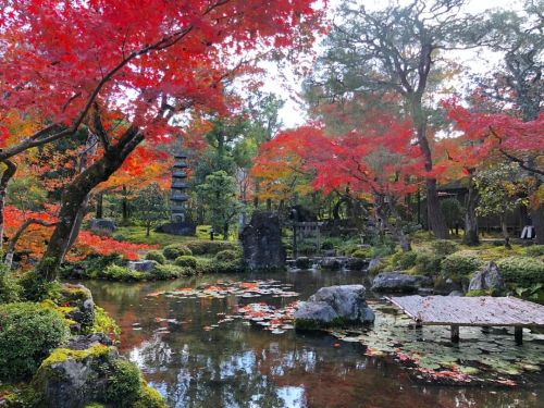 ＼おにわさん更新情報／ ‪[ 京都市左京区 ] 大寧軒庭園 Daineiken&rsquo;s Garden, Kyoto の写真・記事を更新しました。 ーー茶道藪内流11世家元 #透月斎竹窓 が作庭