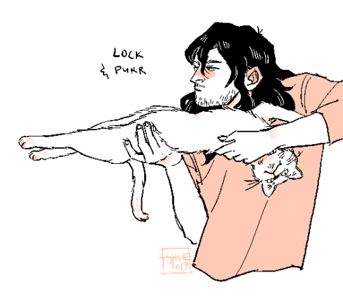 tm87lord:a request for my friend Dani who asked for Aizawa with a cat but I saw this on google and w