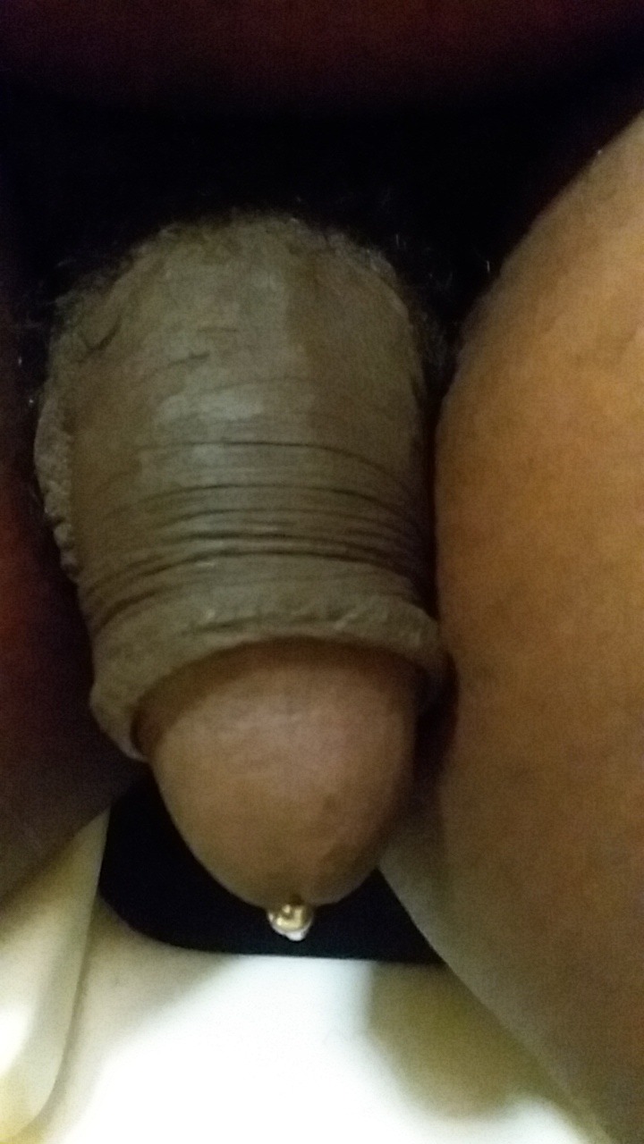 leethebearchaser:  Just a few cock pix of mine a few soft and  a good one if me hard.