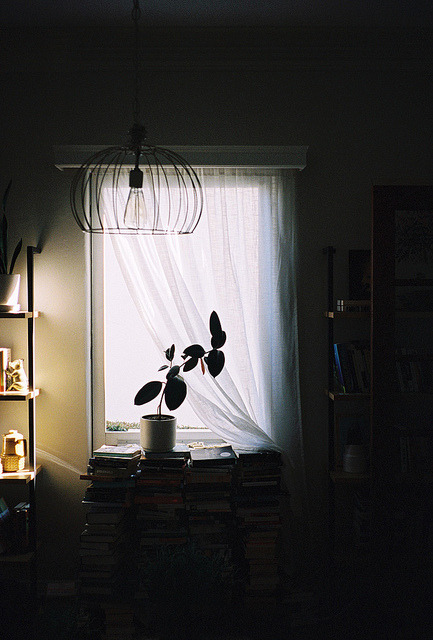 oscartales:  untitled by d a b i t o on Flickr. 
